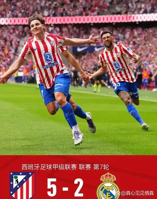 雨燕免费观看nba直播